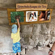Foto_16