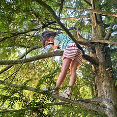 IMG-20260713-WA0023