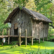 Foto_16