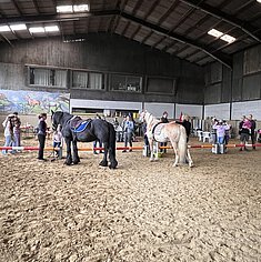 Foto_16